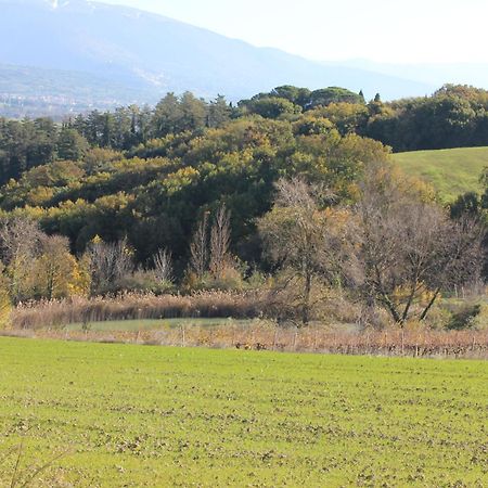 Agriturismo La Ginestrella Civitella D'Arna Kültér fotó