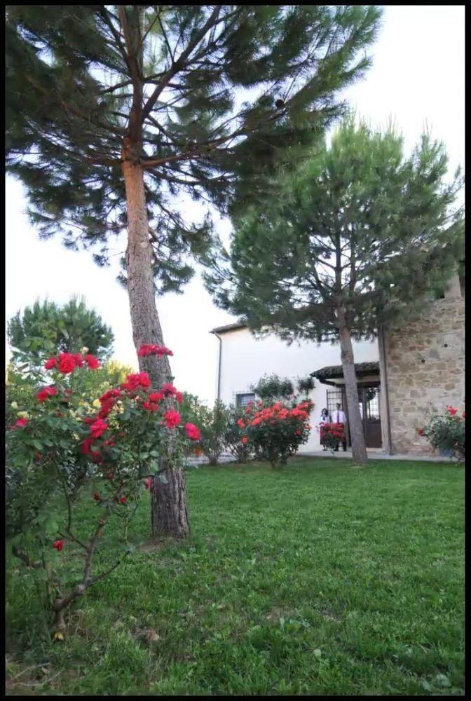 Agriturismo La Ginestrella Civitella D'Arna Kültér fotó