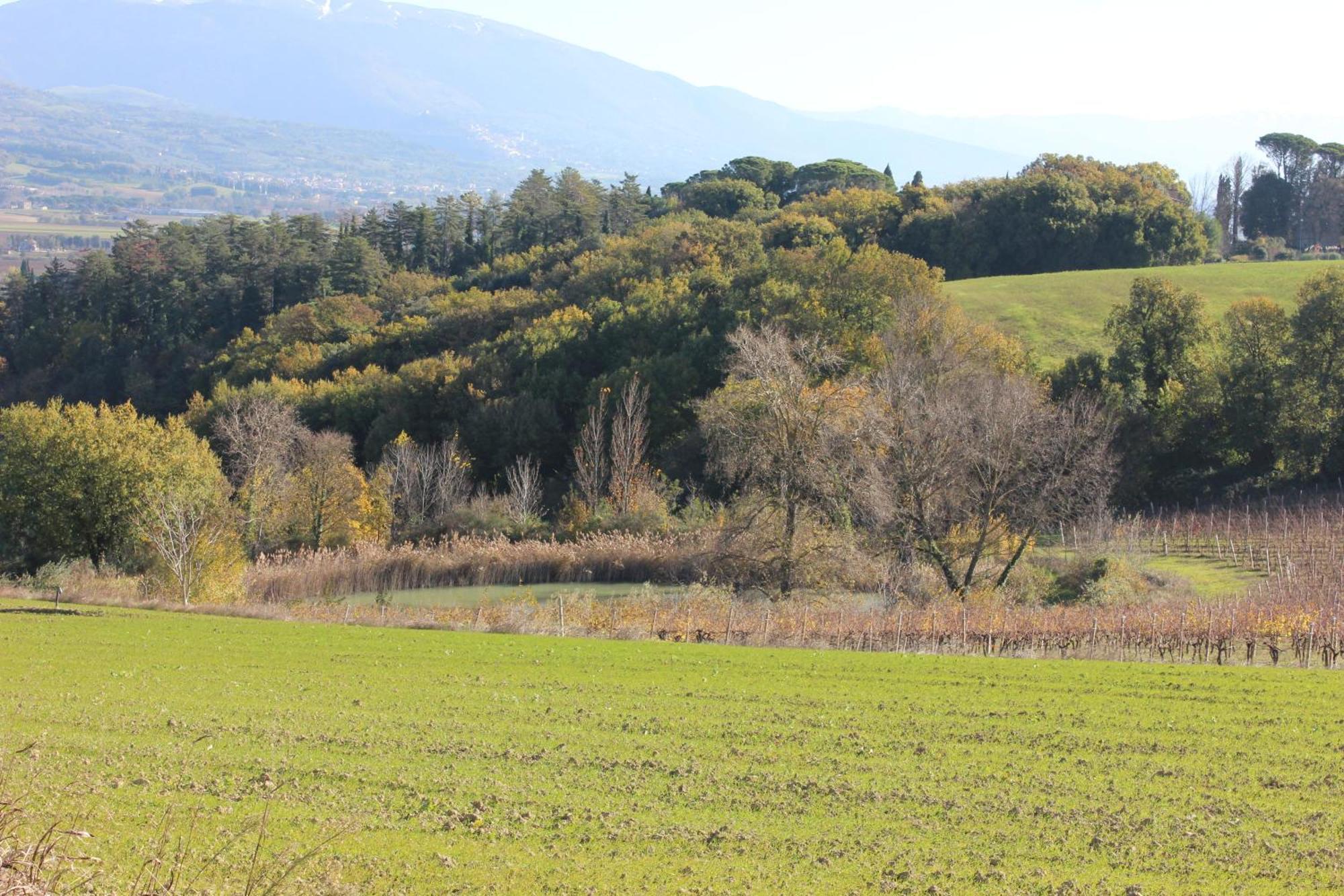 Agriturismo La Ginestrella Civitella D'Arna Kültér fotó