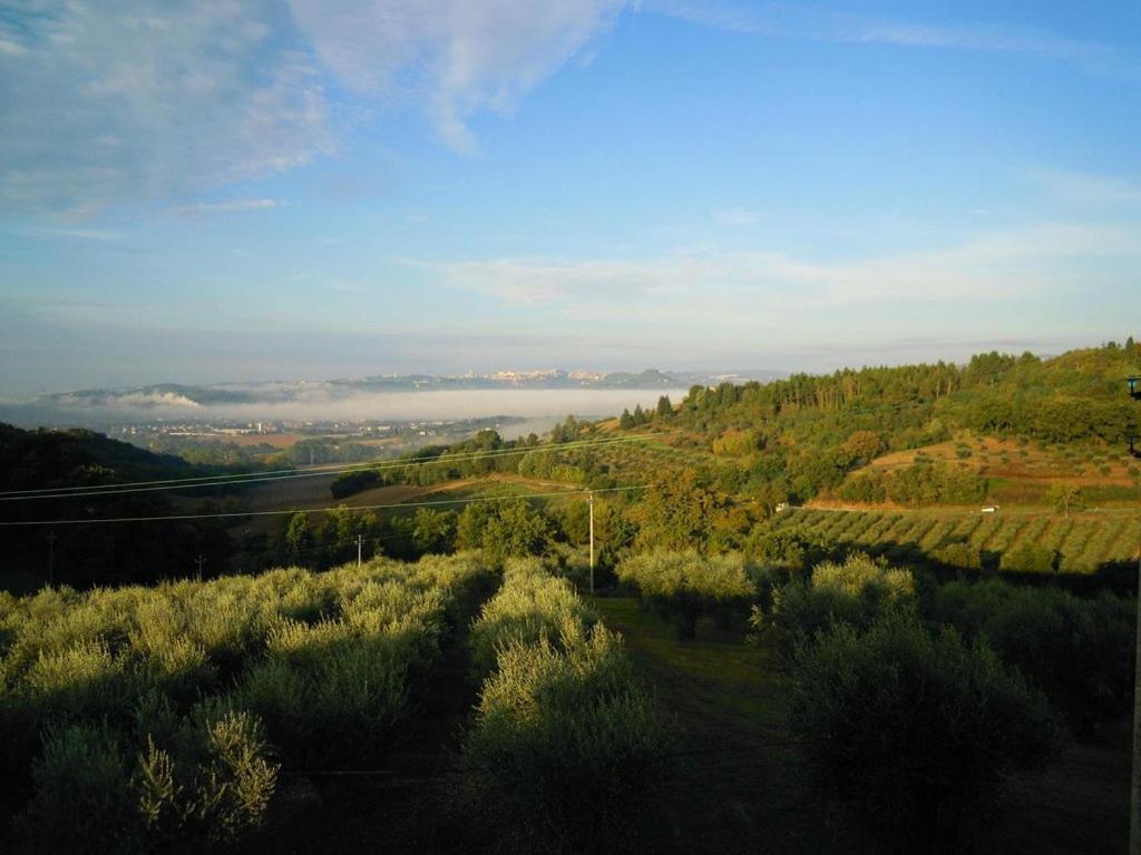 Agriturismo La Ginestrella Civitella D'Arna Kültér fotó