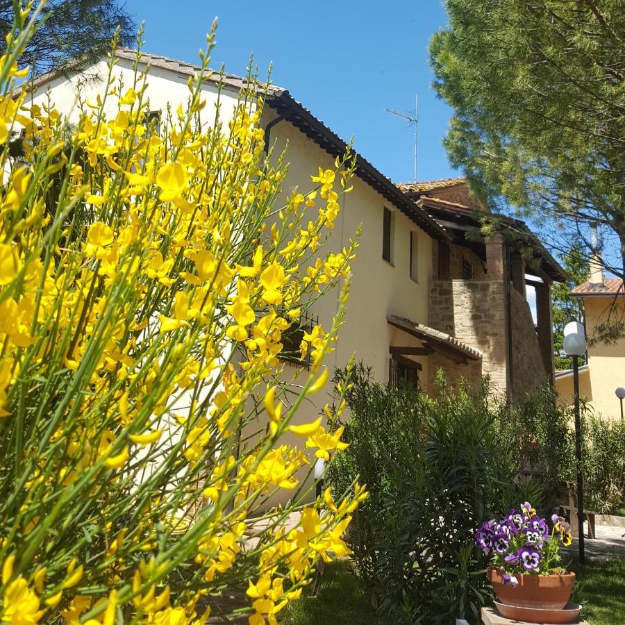 Agriturismo La Ginestrella Civitella D'Arna Kültér fotó