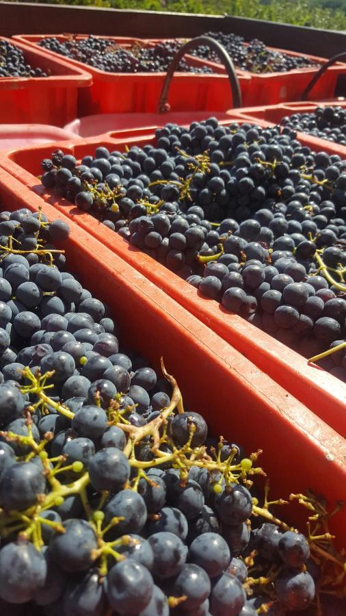 Agriturismo La Ginestrella Civitella D'Arna Kültér fotó
